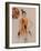 Australian Fashion 1, 2016-Susan Adams-Framed Giclee Print