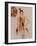 Australian Fashion 1, 2016-Susan Adams-Framed Giclee Print