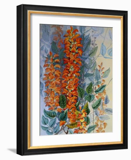 Australian Flower-Marian Ellis Rowan-Framed Giclee Print