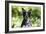 Australian Heeler 06-Bob Langrish-Framed Photographic Print