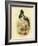 Australian Jabiru or Black-Necked Stork, 1891-Gracius Broinowski-Framed Giclee Print