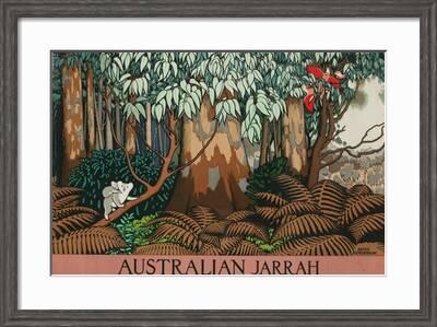 meget Egen Blive ved Australian Jarrah' Giclee Print - Keith Henderson | Art.com
