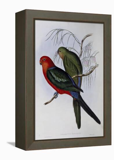 Australian King Parrot (Alisterus Scapularis) (1804-1881) and Henry Constantine Richter (1821-1902)-John Gould-Framed Premier Image Canvas