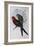 Australian King Parrot (Alisterus Scapularis) (1804-1881) and Henry Constantine Richter (1821-1902)-John Gould-Framed Giclee Print