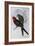 Australian King Parrot (Alisterus Scapularis) (1804-1881) and Henry Constantine Richter (1821-1902)-John Gould-Framed Giclee Print