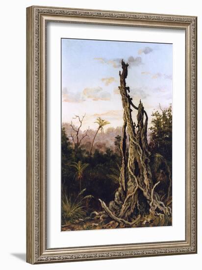 Australian Landscape-Charles E Gordon Frazer-Framed Art Print