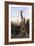 Australian Landscape-Charles E Gordon Frazer-Framed Art Print