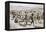 Australian machine-gunners returning from the trenches, France, World War I, 1916-Unknown-Framed Premier Image Canvas