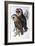 Australian Masked-Owl (Strix Personata)-John Gould-Framed Giclee Print