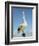 Australian Pelican, Pelecanus Conspicillatus, Shark Bay, Western Australia, Australia, Pacific-Ann & Steve Toon-Framed Photographic Print