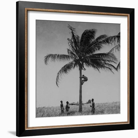 Australian Pilot Lisle Johnston Showing American B-17 Bomber "Frank Buck" How to Gather Coconuts-George Strock-Framed Photographic Print