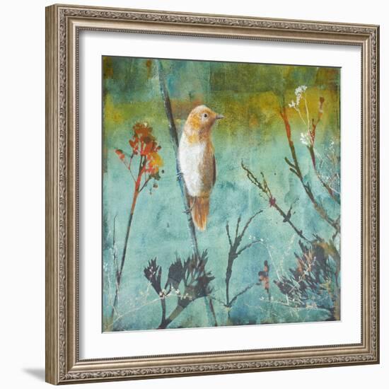 Australian Reed Warbler-Trudy Rice-Framed Art Print