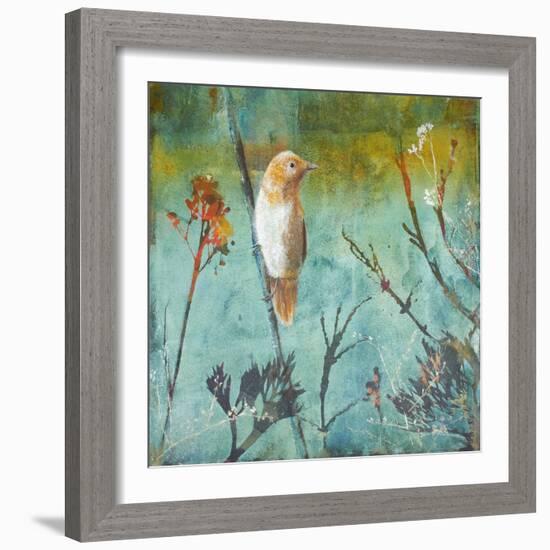 Australian Reed Warbler-Trudy Rice-Framed Art Print