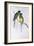 Australian Ringneck (Barnardius or Platycercus Zonarius)-John Gould-Framed Giclee Print