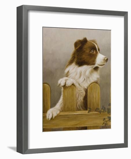 Australian Sheep Dog-John Silver-Framed Giclee Print