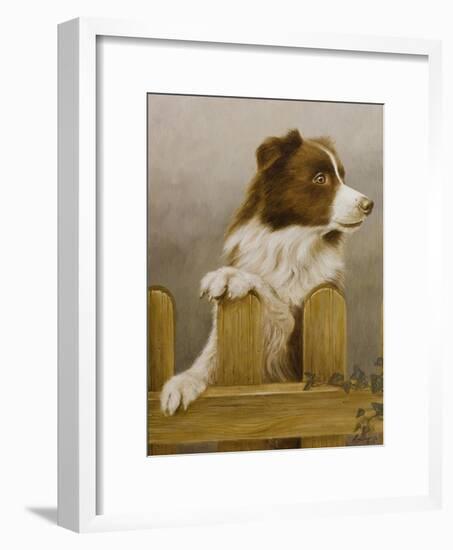 Australian Sheep Dog-John Silver-Framed Giclee Print