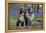 Australian Shepherd 53-Bob Langrish-Framed Premier Image Canvas