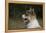 Australian Shepherd 57-Bob Langrish-Framed Premier Image Canvas