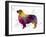 Australian Shepherd in Watercolor-paulrommer-Framed Art Print