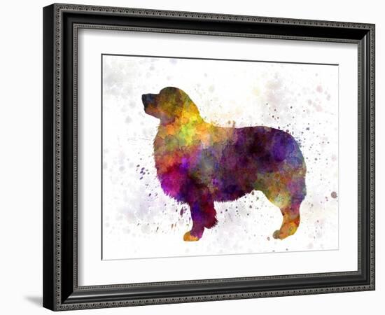 Australian Shepherd in Watercolor-paulrommer-Framed Art Print