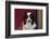 Australian Shepherd Portrait-Zandria Muench Beraldo-Framed Photographic Print