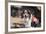 Australian Shepherd Search and Rescue Dog-Zandria Muench Beraldo-Framed Photographic Print