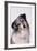 Australian Shepherd Tilting Head-DLILLC-Framed Photographic Print