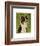 Australian Shepherd-John W^ Golden-Framed Art Print