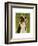 Australian Shepherd-John W^ Golden-Framed Art Print