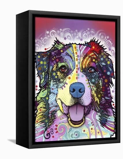 Australian Shepherd-Dean Russo-Framed Premier Image Canvas