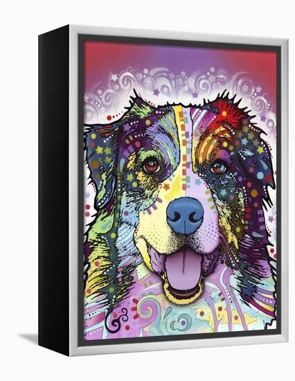 Australian Shepherd-Dean Russo-Framed Premier Image Canvas