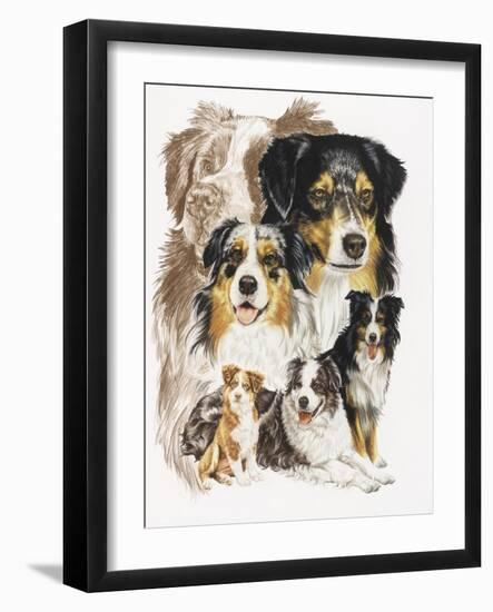 Australian Shepherds-Barbara Keith-Framed Giclee Print