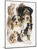 Australian Shepherds-Barbara Keith-Mounted Giclee Print