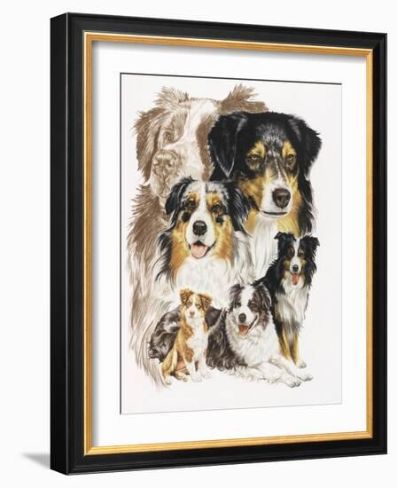 Australian Shepherds-Barbara Keith-Framed Giclee Print