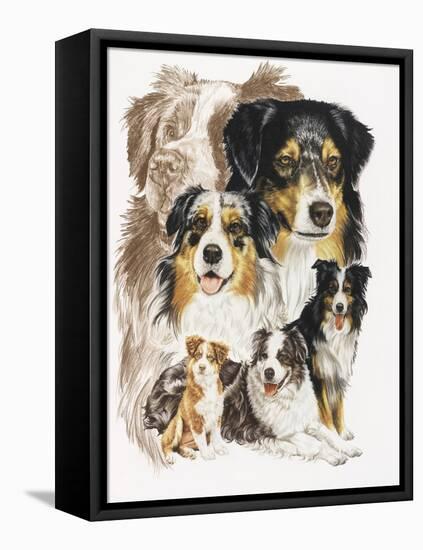 Australian Shepherds-Barbara Keith-Framed Premier Image Canvas