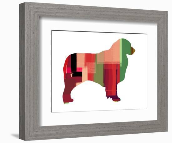 Australian Sheppard-NaxArt-Framed Art Print