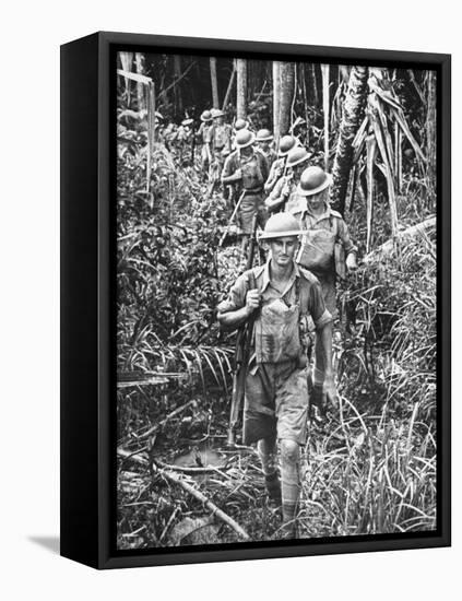 Australian Soldiers Patrolling the Jungle at Singapore before the Japanese Invasion-Carl Mydans-Framed Premier Image Canvas