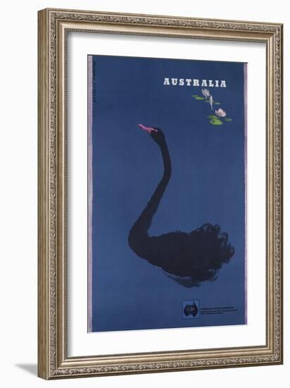 Australian Travel Board Travel Poster, Black Swann, Ca, 1950s-null-Framed Giclee Print