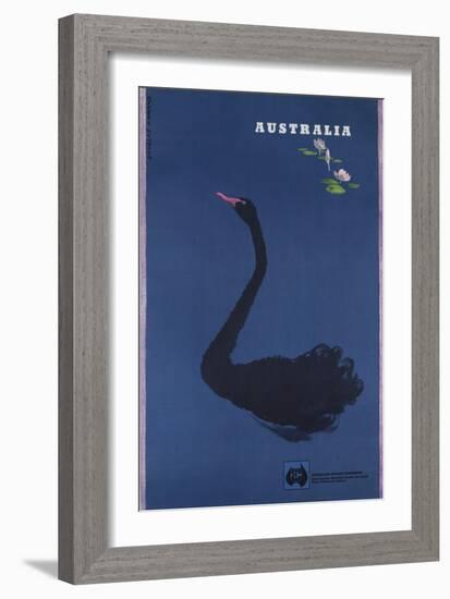 Australian Travel Board Travel Poster, Black Swann, Ca, 1950s-null-Framed Giclee Print