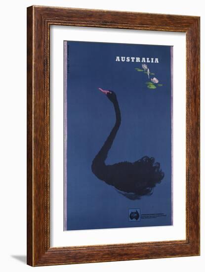 Australian Travel Board Travel Poster, Black Swann, Ca, 1950s-null-Framed Giclee Print