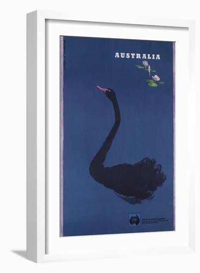 Australian Travel Board Travel Poster, Black Swann, Ca, 1950s-null-Framed Giclee Print