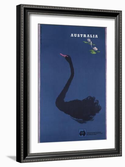 Australian Travel Board Travel Poster, Black Swann, Ca, 1950s-null-Framed Giclee Print