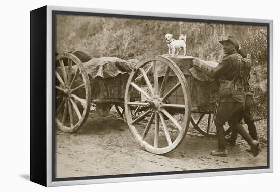 Australian troops returning from the trenches with their mascot, World War I, France, 1916-Unknown-Framed Premier Image Canvas