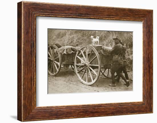 Australian troops returning from the trenches with their mascot, World War I, France, 1916-Unknown-Framed Photographic Print