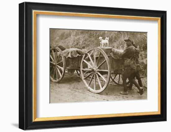Australian troops returning from the trenches with their mascot, World War I, France, 1916-Unknown-Framed Photographic Print