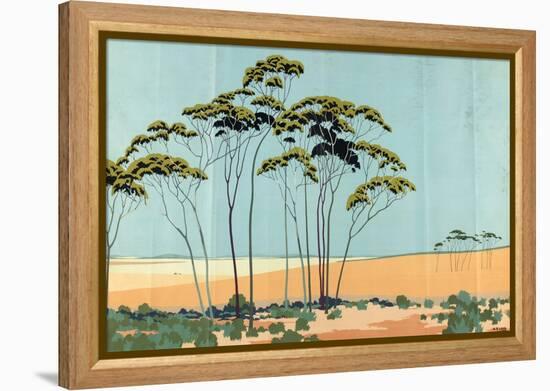 Australian Wheat, from the Series 'Australia's Wealth of Wheat and Wool'-Archibald Bertram Webb-Framed Premier Image Canvas