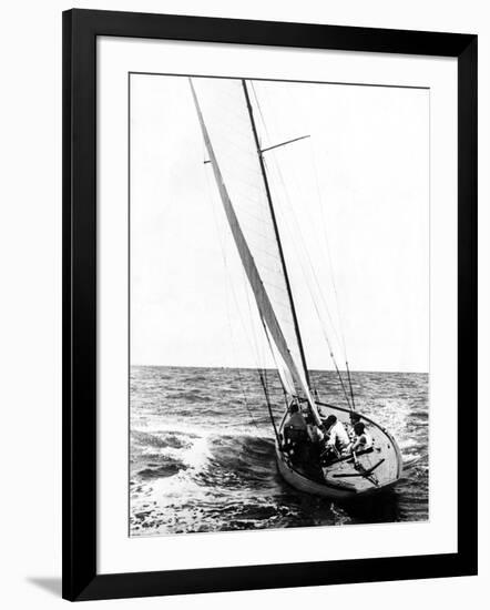 Photographic Print, , large