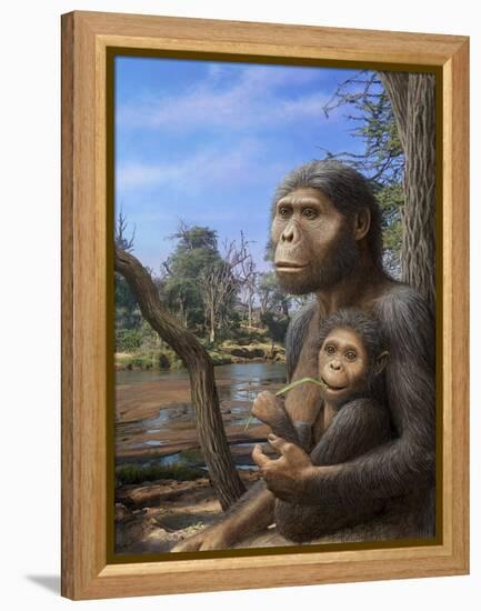 Australopithecus Afarensis, Artwork-Mauricio Anton-Framed Premier Image Canvas