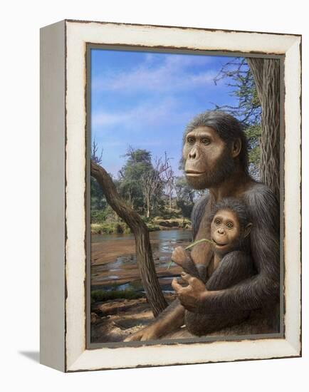 Australopithecus Afarensis, Artwork-Mauricio Anton-Framed Premier Image Canvas