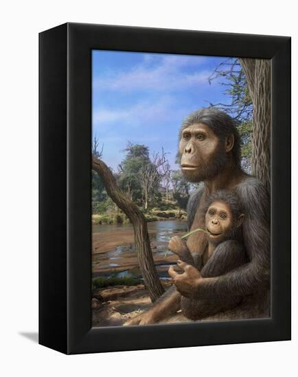 Australopithecus Afarensis, Artwork-Mauricio Anton-Framed Premier Image Canvas